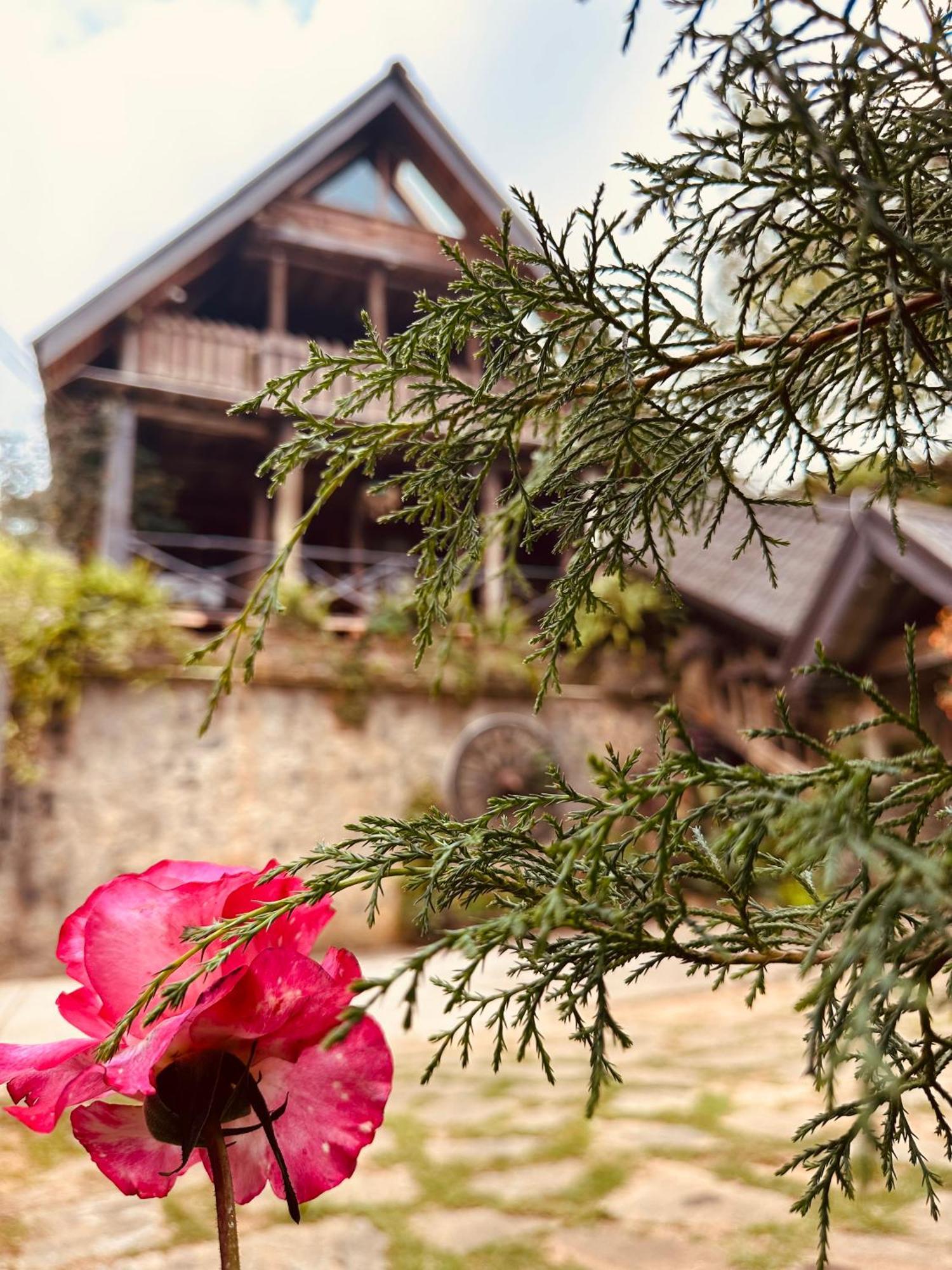 Villa 47 Nuwaraeliya Νουβάρα Ελίγια Εξωτερικό φωτογραφία