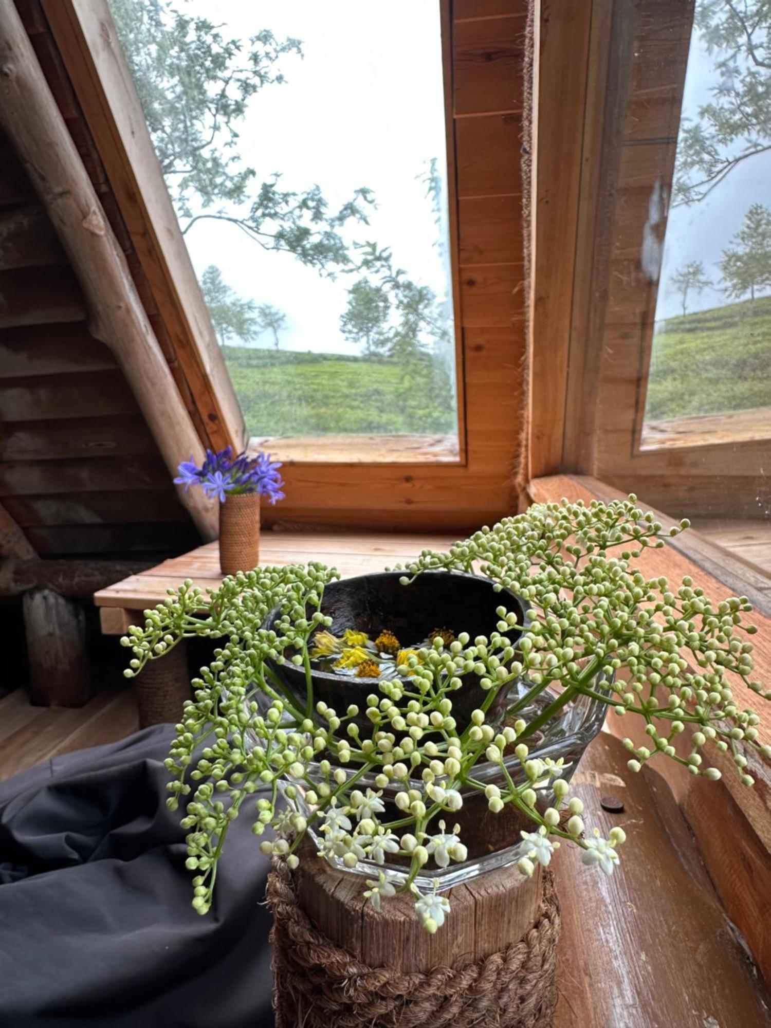 Villa 47 Nuwaraeliya Νουβάρα Ελίγια Εξωτερικό φωτογραφία