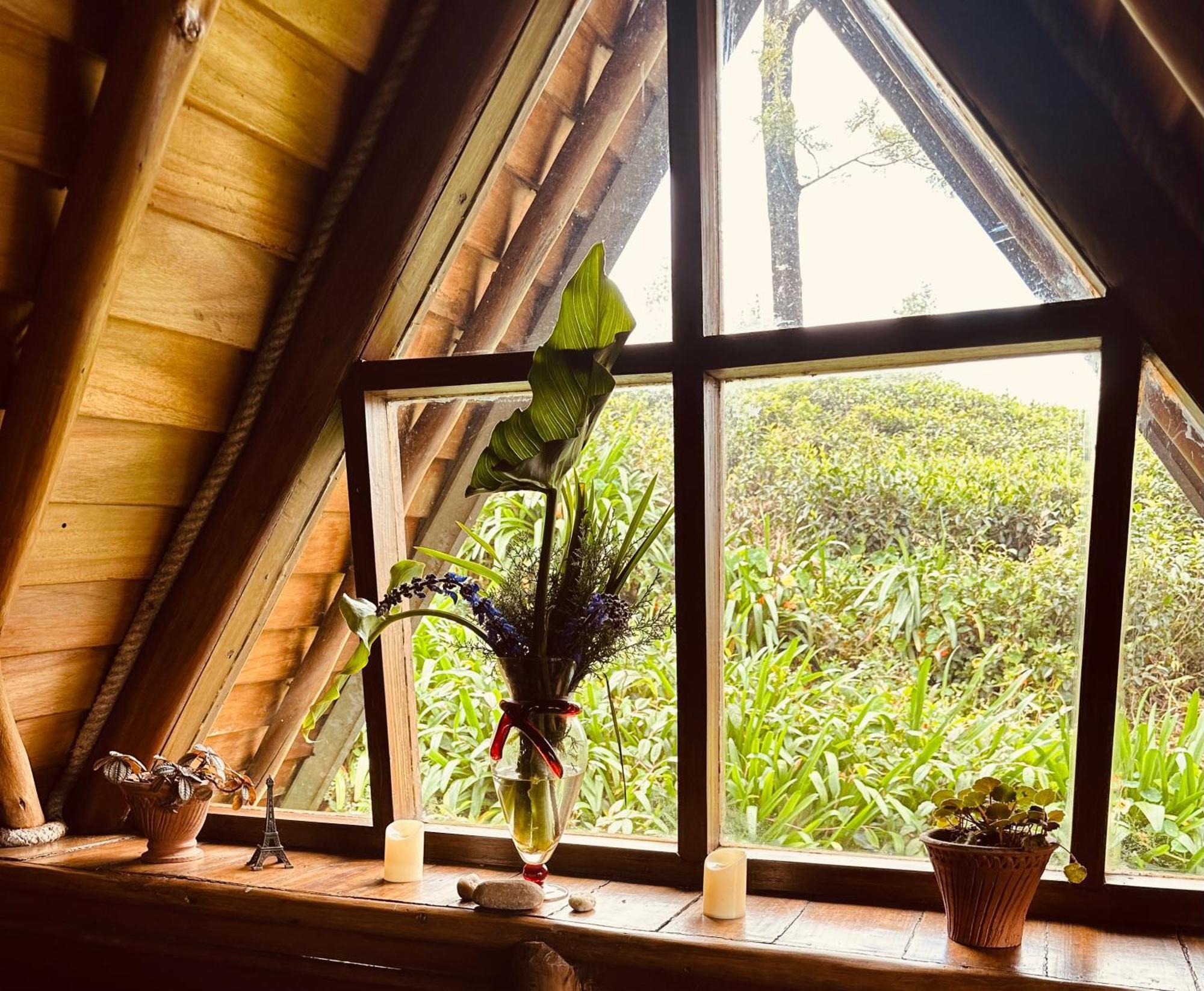 Villa 47 Nuwaraeliya Νουβάρα Ελίγια Εξωτερικό φωτογραφία