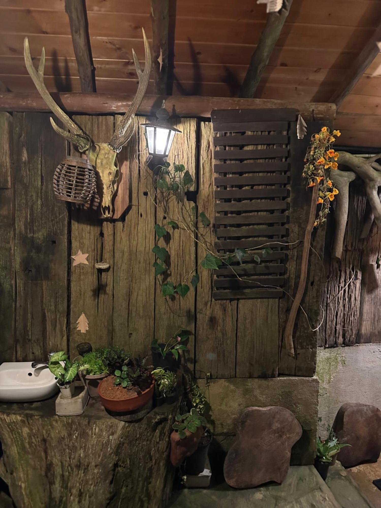 Villa 47 Nuwaraeliya Νουβάρα Ελίγια Εξωτερικό φωτογραφία