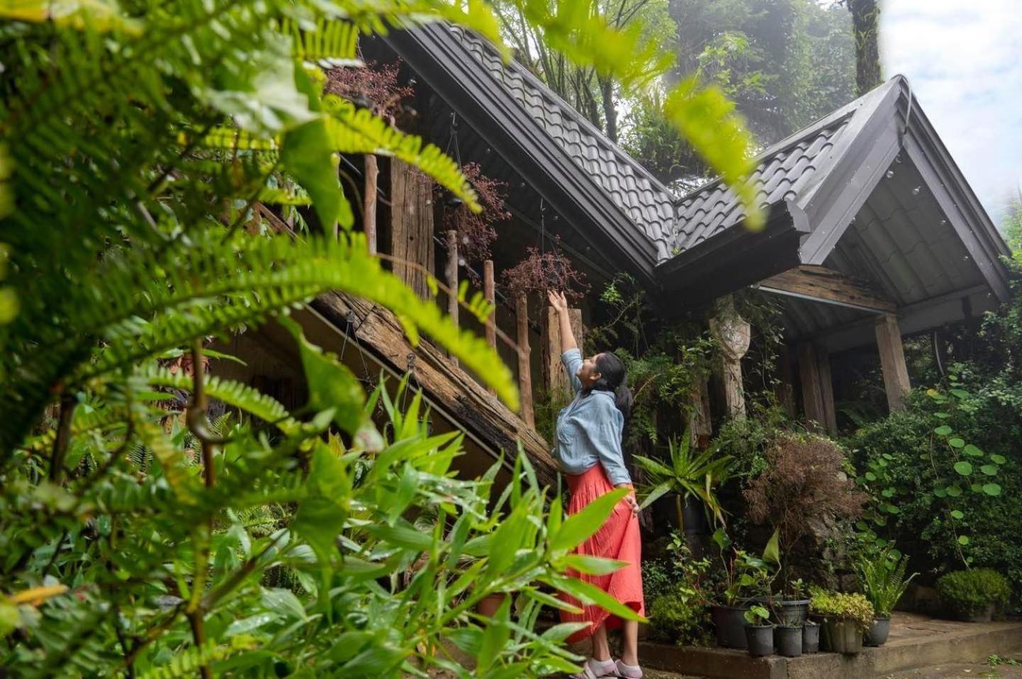Villa 47 Nuwaraeliya Νουβάρα Ελίγια Εξωτερικό φωτογραφία